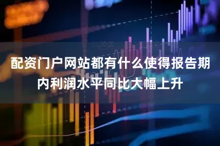 配资门户网站都有什么使得报告期内利润水平同比大幅上升