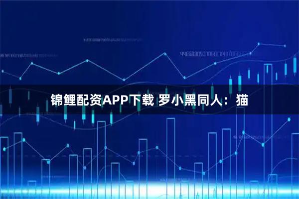 锦鲤配资APP下载 罗小黑同人：猫