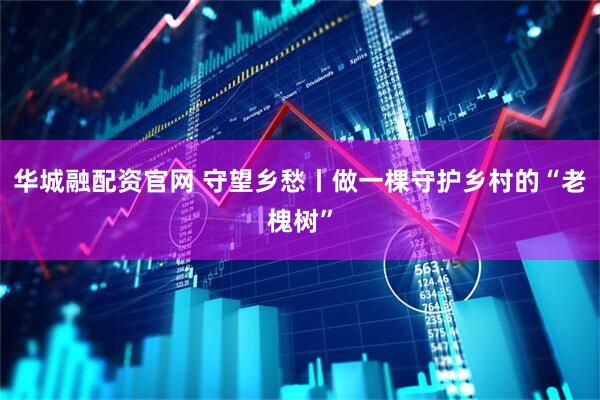华城融配资官网 守望乡愁丨做一棵守护乡村的“老槐树”